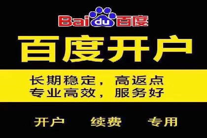 百度推广竞价排名优化全攻略及某企业成功案例